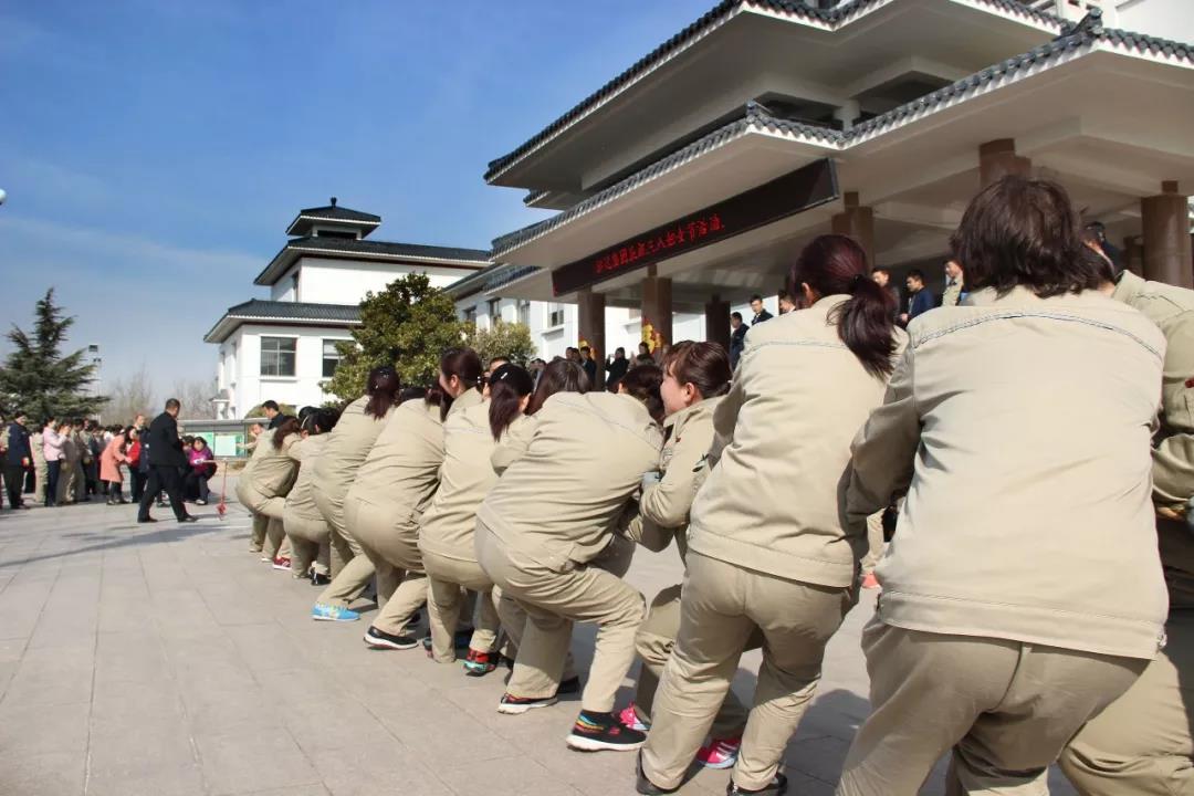金牛版资料大全