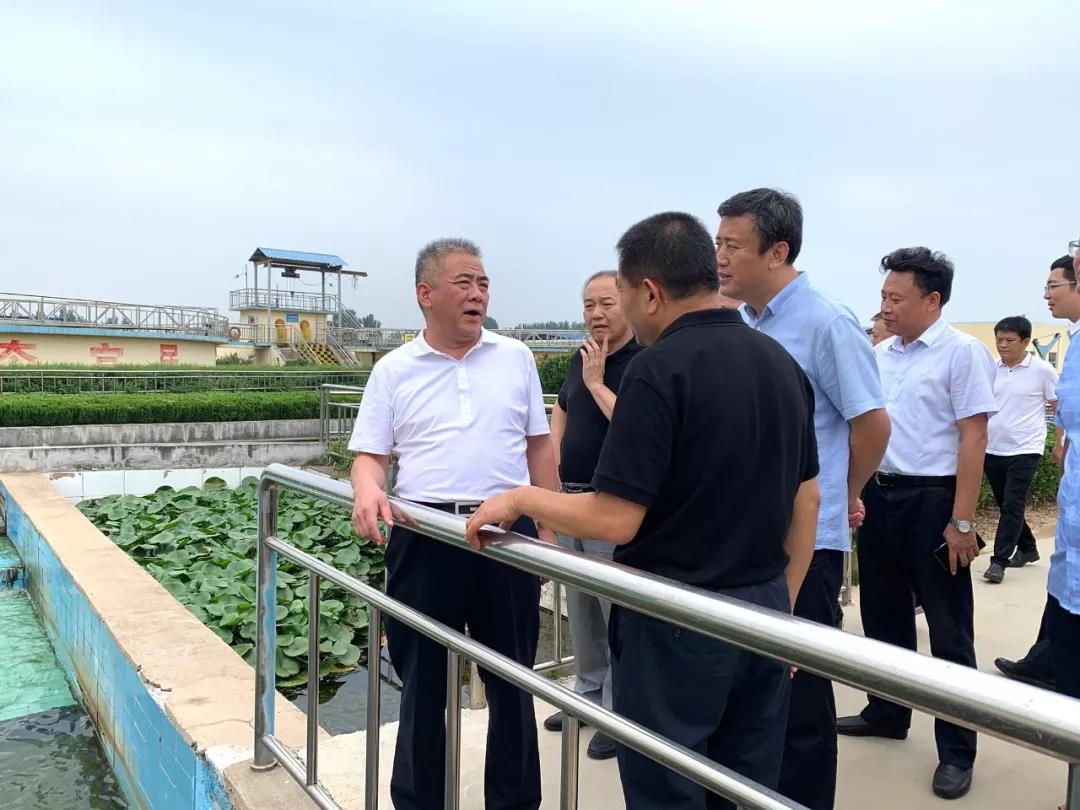 金牛版资料大全