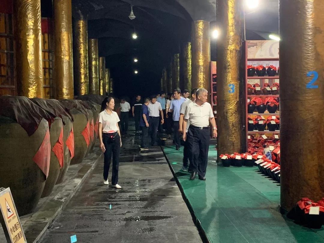 金牛版资料大全