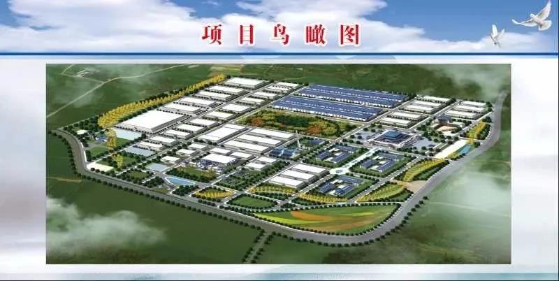 金牛版资料大全