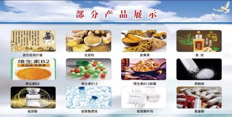 金牛版资料大全