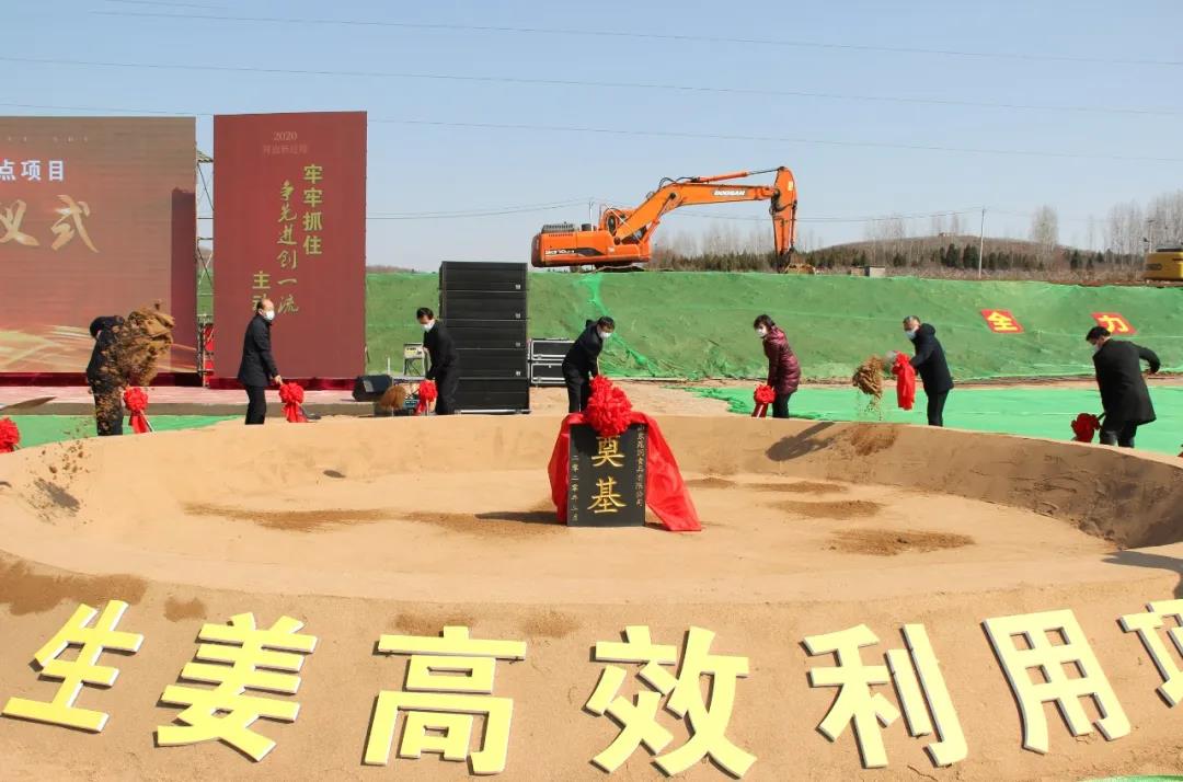 金牛版资料大全