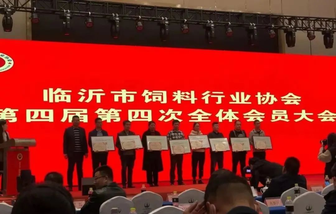 金牛版资料大全