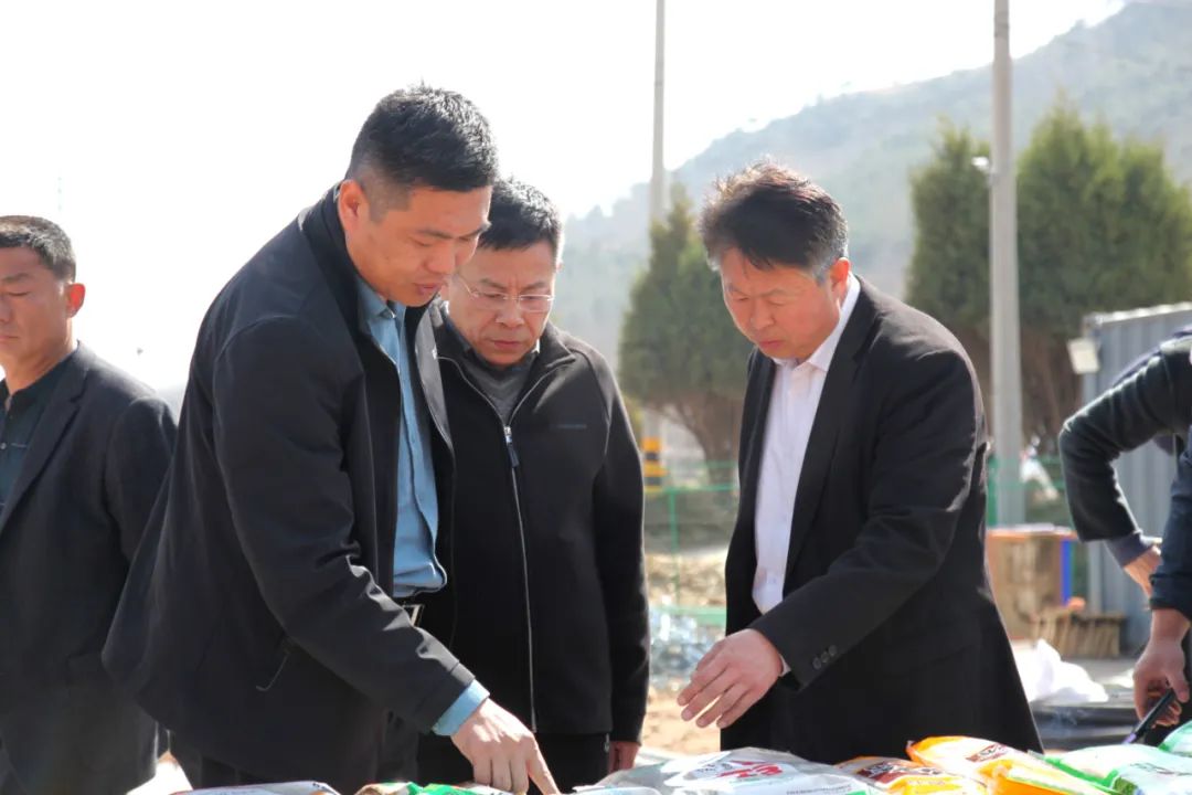 金牛版资料大全