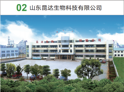金牛版资料大全