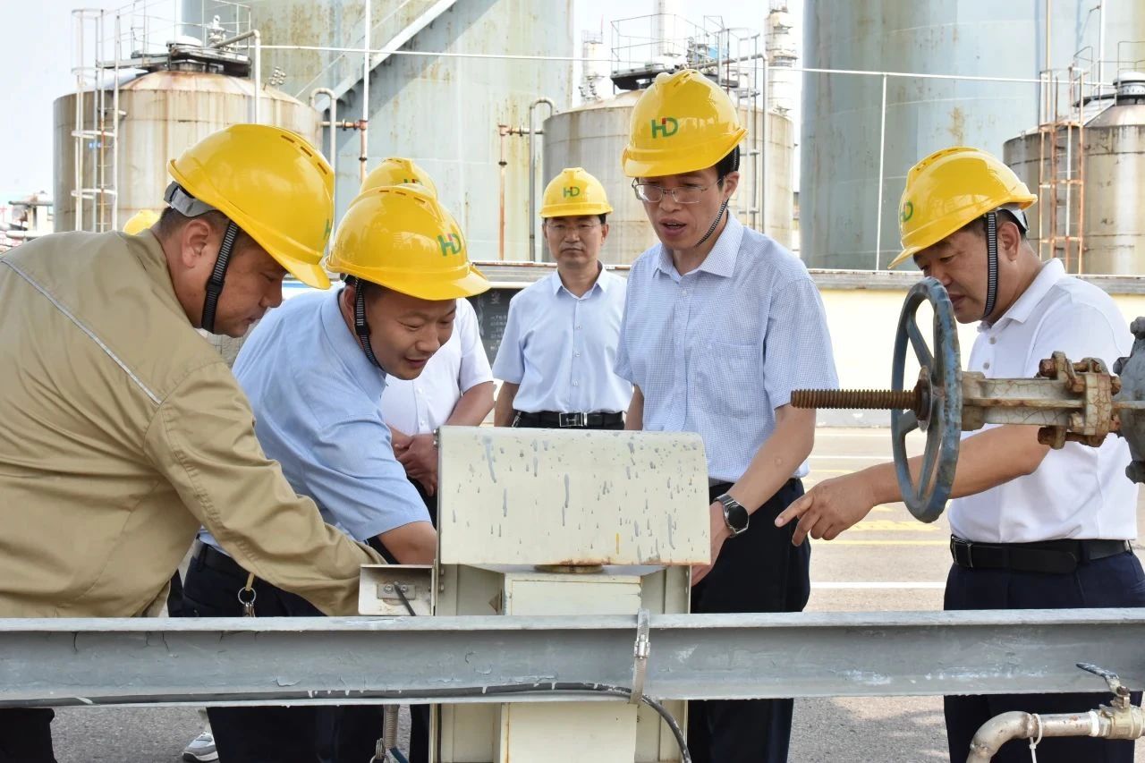金牛版资料大全