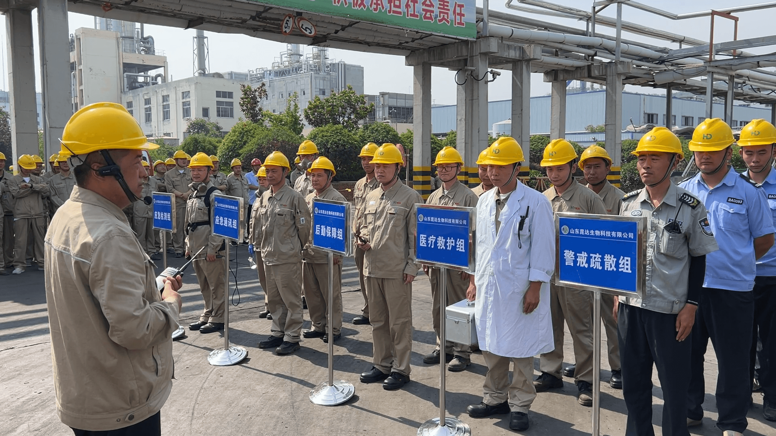 金牛版资料大全